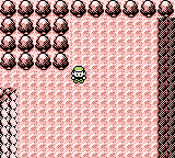 Elite Four no badges 3.png
