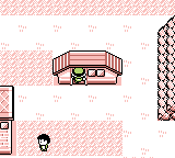 Elite Four no badges house.png