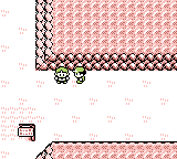 Elite Four no badges 1.png